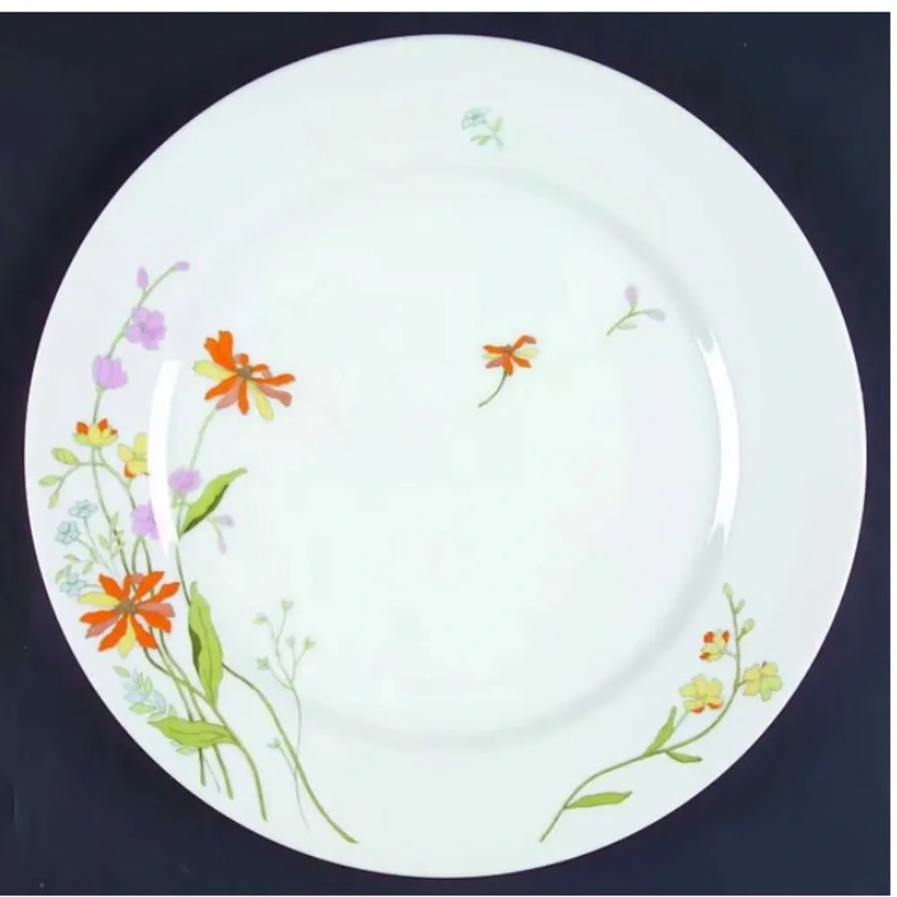 HTF RARE vintage  Bristol Fine China “Spring delight” Dinner Plate set of 4